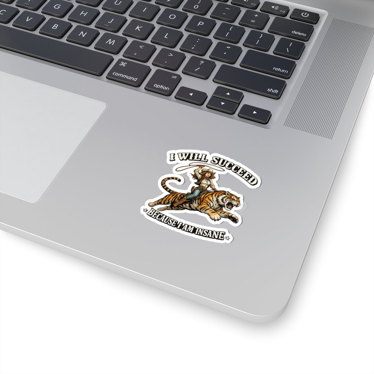 I Will Succeed Because I Am Insane Sticker — Cowboy Riding Tiger Inspirational Vinyl Sticker